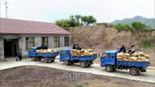 TỔNG TÀI PHỤ BẠC - TẬP 31 - (Phim thuyết minh)