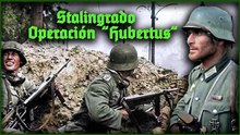Stalingrado 1942: Operación Hubertus, la última ofensiva del 6.º Ejército alemán