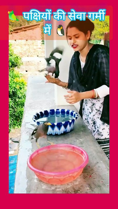 #birds #videos #water #viral #Man
