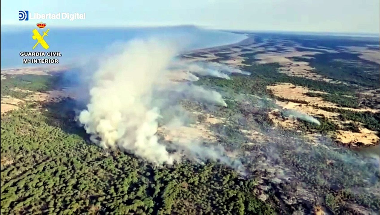 Un incendio arrasa más de 250 hectáreas en Doñana