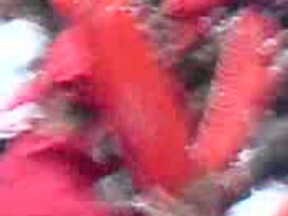 PUBLIC SLUC NANCY BASKET BERCY 2008