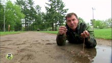 Wild Kratts Mystery of the Squirmy Wormy