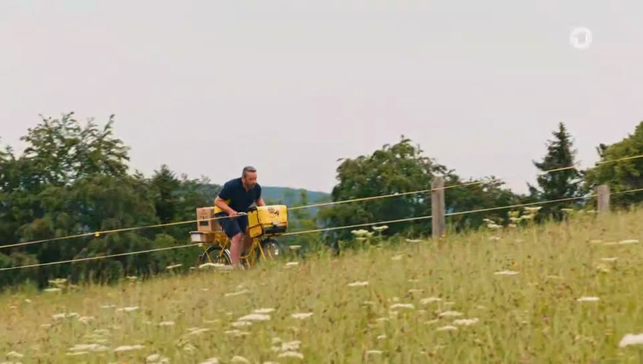 Zimmer mit Stall -07- Schwein gehabt