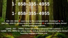 ≋[FULL GUIDE] Coinbase® HELP DESK© SUPPoRT℗ Phone NuMber (OfficiAl)