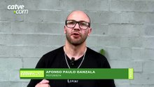 Dono pede ajuda para encontrar araras Amora e Dino