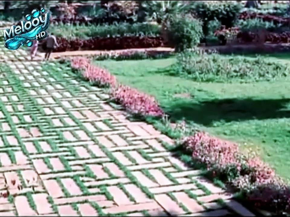فيلم دليلة بطولة شادية وعبد الحليم حافظ  وزبيدة...