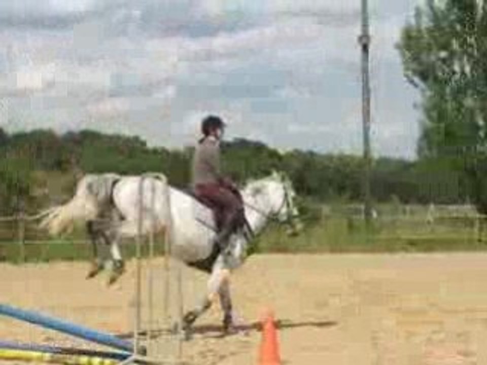 Cours de CSO - 14 juin 2008 - Biais