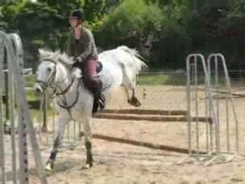 Cours de cso - 14 juin 2008 - Oxer deuxième!