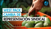 Trabajadores de West Pack cambian de sindicato y eligen a COCENA como nueva representación