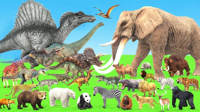 Epic Battle Mammoth Elephant vs T Rex Dinosaurs Versus Wild Animals Animal Revolt Battle Simulator thumnail