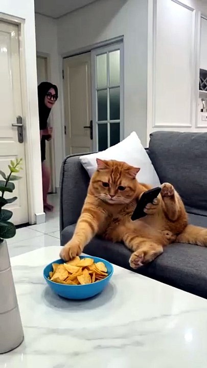 People Can’t Stop Watching This Viral Clip 👀