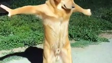 “Which part of this video made you laugh the most? 😆 Comment below!”