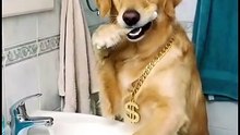 This Viral Video is Breaking the Internet 🔥