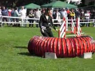 FAR agility