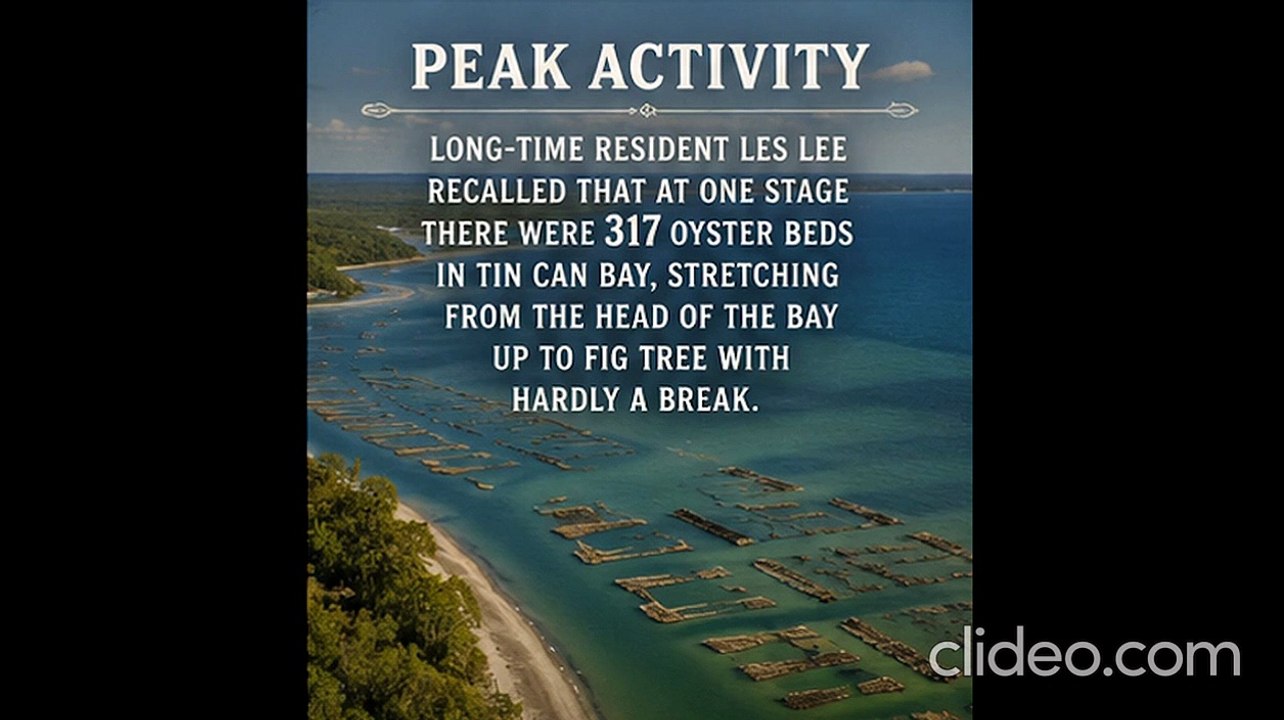 Oyster Bay