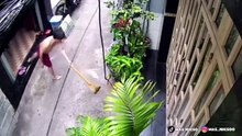 Tetangga Spesialis Maling Paket..!! Deretan Kelakuan TETANGGA RESE NGESELIN PARAH!!