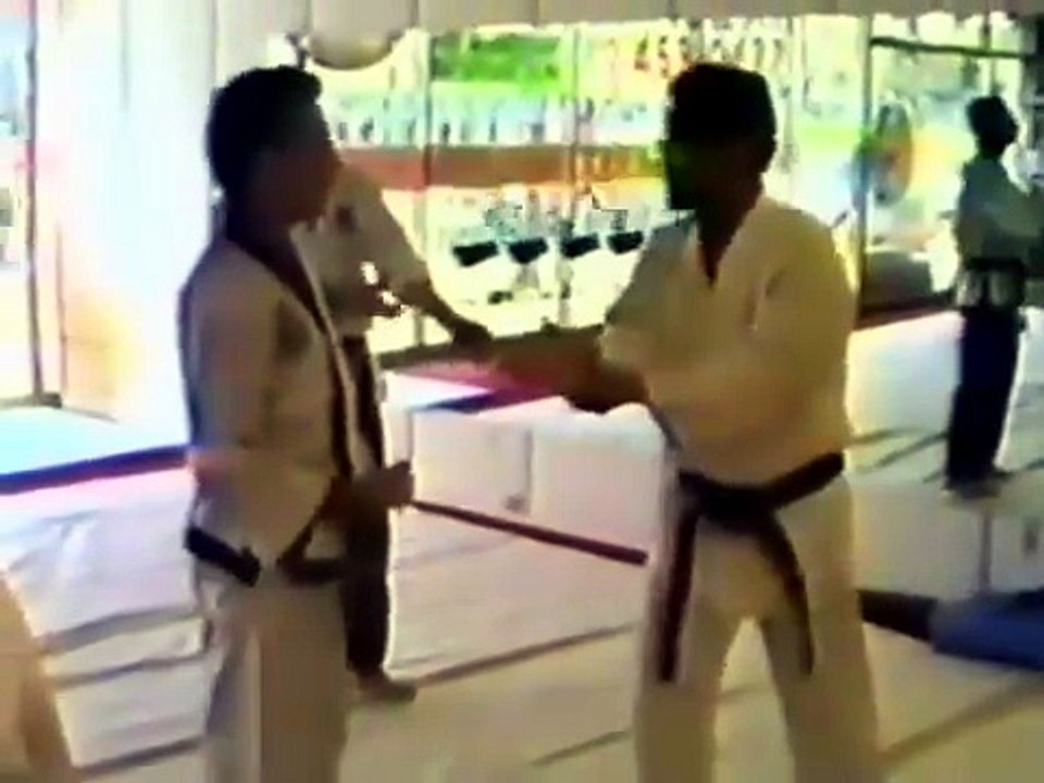 Sin Moo Hapkido Seminar