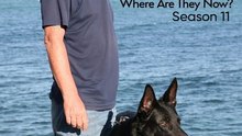 A New Life in the Sun - Season 11 - Episode 09 Eng Sub