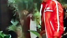 Teri yad aie rahi hai Hindi song #lovestory#hindisong