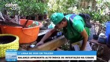 1º LIRAa de Toledo registra alto índice de infestação do Aedes aegypti