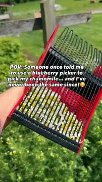 This simple tool has saved me literal hours and hours of time in my herb garden.🌼I bought this