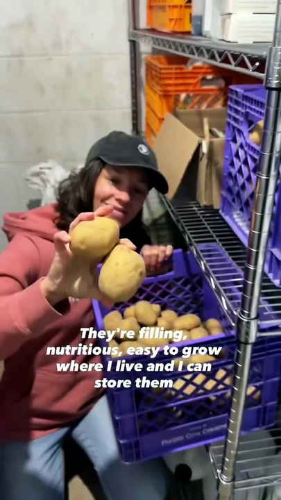 White potatoes are my top food for self-sufficiency! They are absolute rock stars at storing for (2)