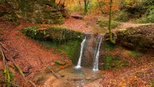 Have You Seen Trier in Autumn Like This?