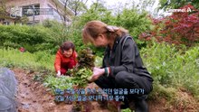 비염부터 대장암까지 극복한 그녀의 건강 루틴을 소개합니다!