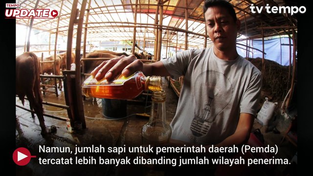 Prabowo Salurkan 1.098 Sapi Kurban ke Berbagai Daerah dan Lembaga