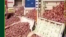 कांद्याला प्रति क्विंटल १५८० रुपये दर जाहीर-_1