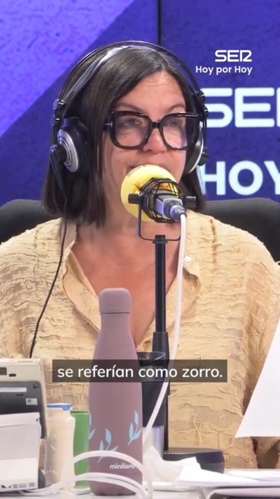 'Zorro' o 'Z', los nombres con los que la UDEF atribuye a Zapatero un papel central en la trama