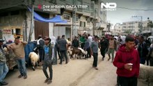 Wysiedleni z Gazy szykują się na ponure Eid al-Adha w wojnie i drożyźnie