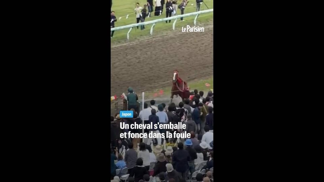 Un cheval hors de contrôle à un festival samouraï au Japon