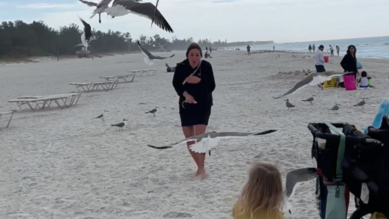 *Harmlessly funny beach prank* Wife gets swarmed by sea gulls after husband hides cheese sticks in her hood