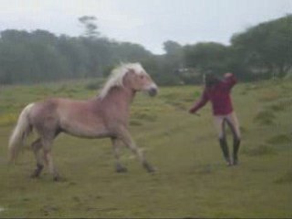 Naiade motivée / fin mai