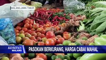 Pasokan Berkurang Harga Cabai Mahal