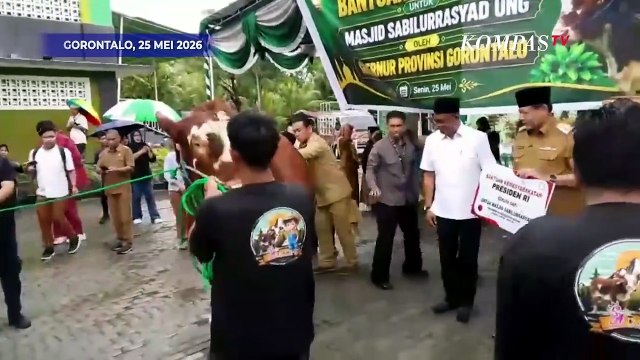 Istana: 1.098 Sapi Bantuan Kurban Presiden Prabowo Berasal dari Peternak Lokal