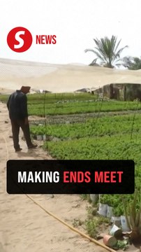 Gaza farmers turn to growing vegetables in recycled tin cans after losing land