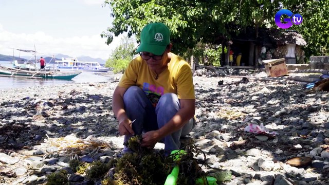 Crackers na gawa sa seaweeds, mabibili sa Concepcion, Iloilo! | Biyahe ni Drew