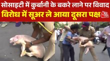 ठाणे की सोसाइटी में कुर्बानी के बकरे लाने पर विवाद, व‍िरोध में सूअर ले आए लोग
