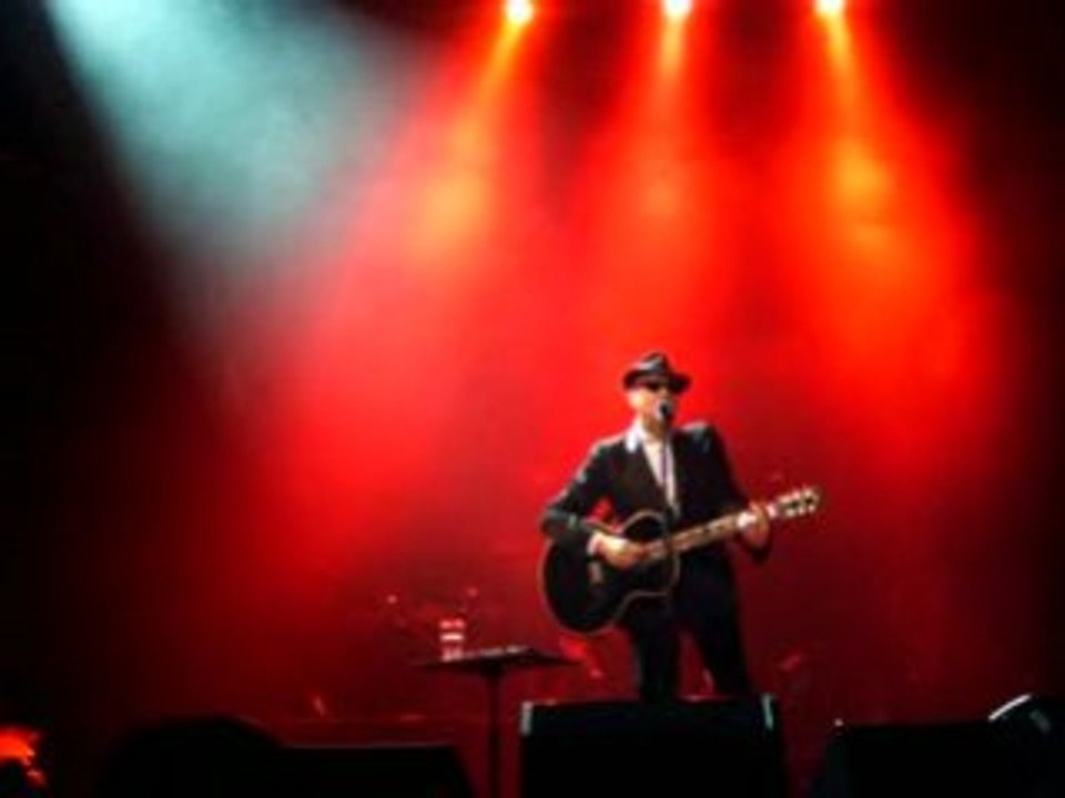 angora alain bashung olympia 2008