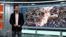 Flash Informativo del 26 de may de 2026 a las 14:03
