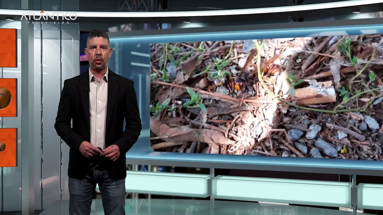 Flash Informativo del 26 de may de 2026 a las 14:03