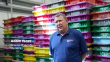 Why Maine's blueberry farmers are losing millions