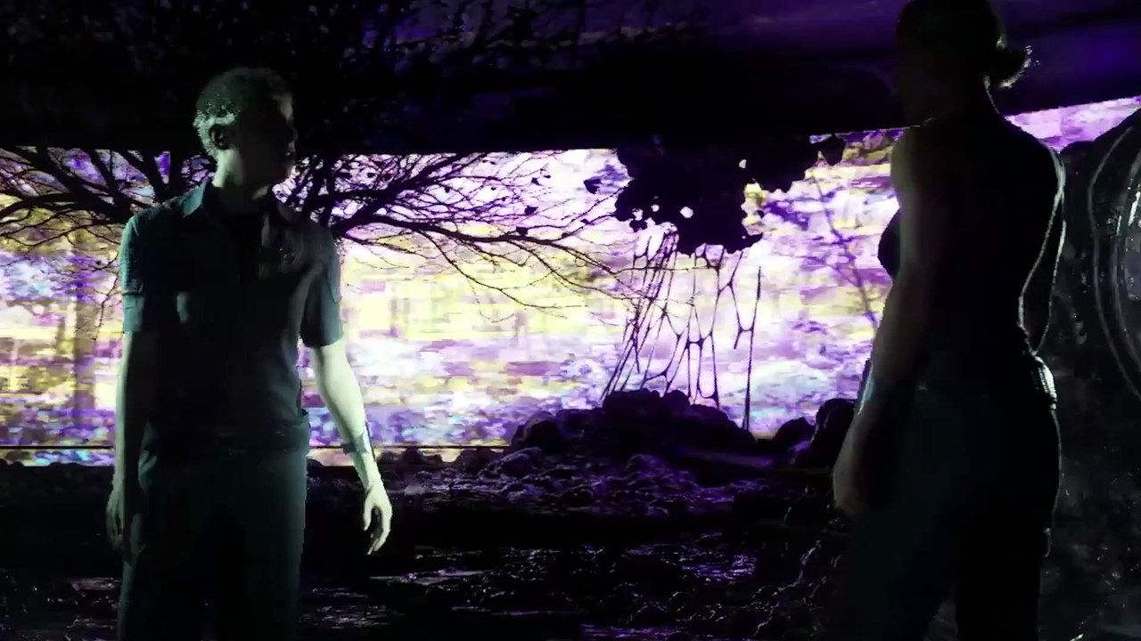Directive 8020 Hostile Takeover Short