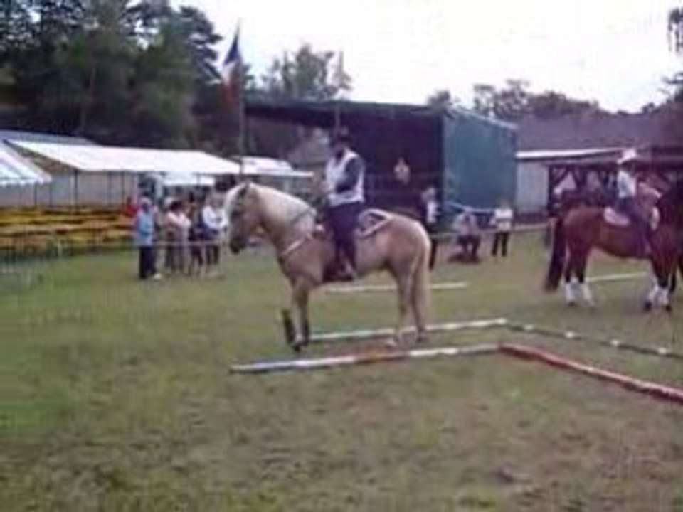 Vidéo reculé V