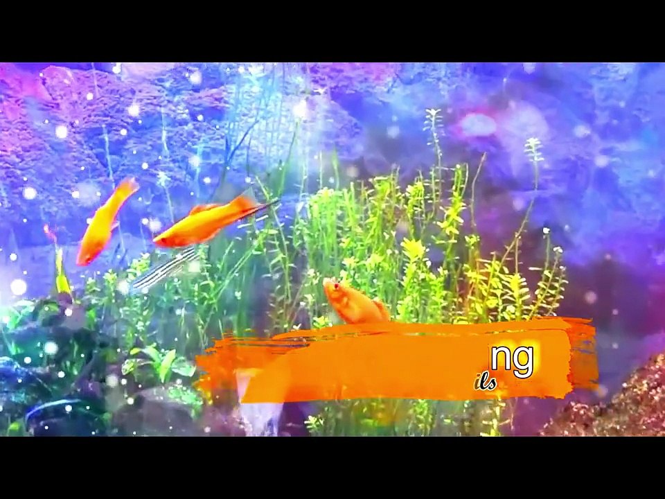 Swordtail fish caught breeding