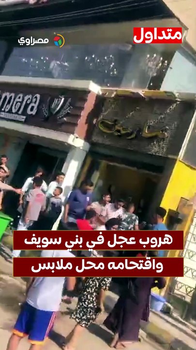 هروب عجل في بني سويف واقتحامه محل ملابس