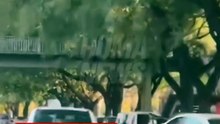 Santa Fe: filmaron a un nene manejando una moto en plena avenida durante el feriado
