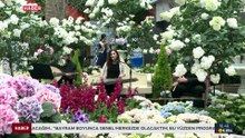 İstanbul çiçeklerine Singapur'da yoğun ilgi